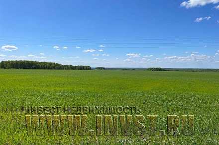 Земля 11 га под жилую застройку, Тульская обл., с. Сотино